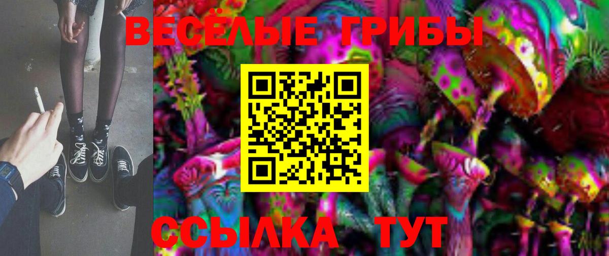 Псилоцибиновые грибы GOLDEN TEACHER Семёнов